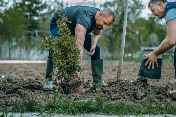 Hilliard, FL Tree Care Services Company